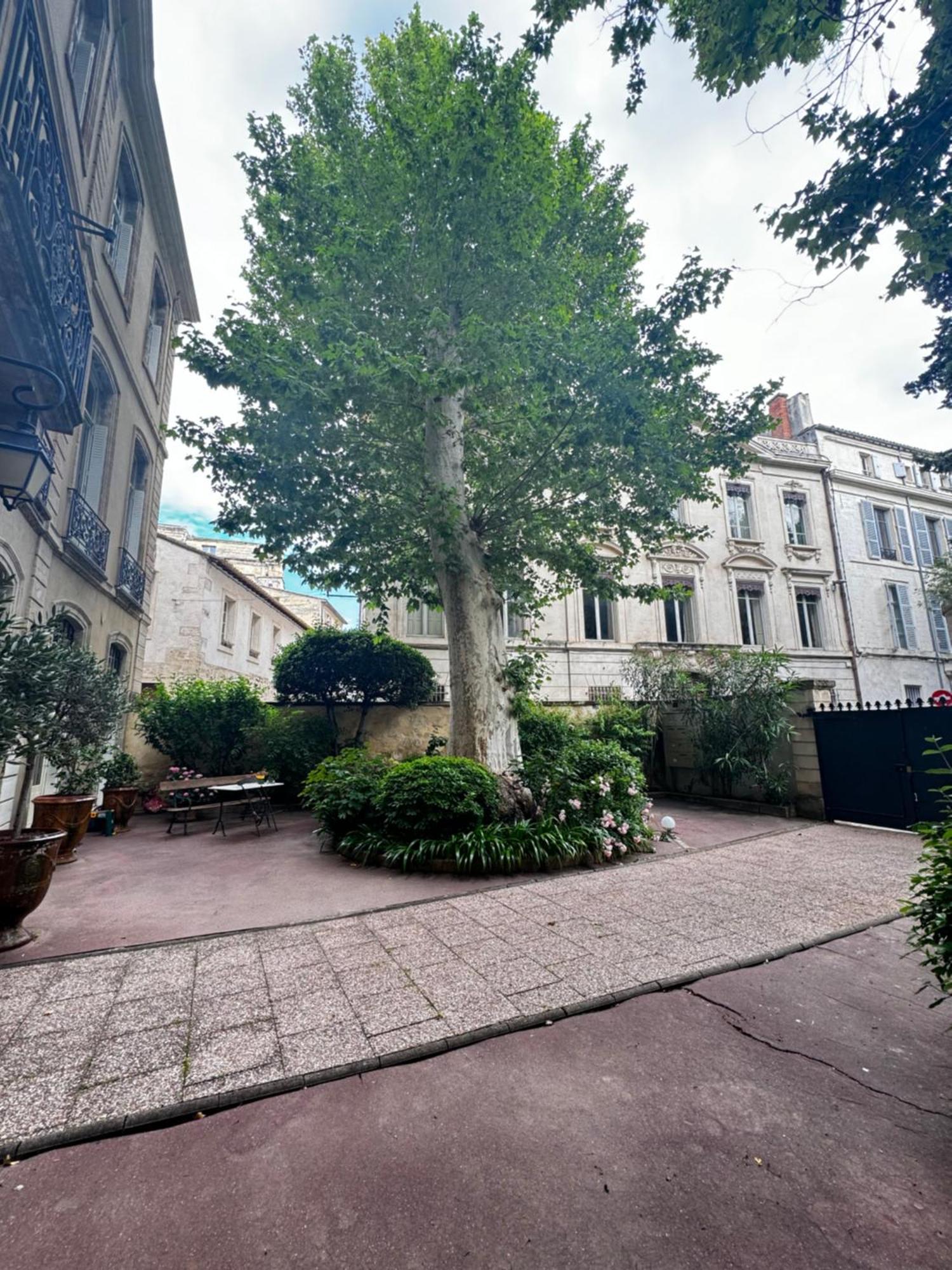 Le Cosy Du Gal, A 2 Pas Du Palais Des Papes Parking Gratuit Securise Apartment Avignon Exterior photo